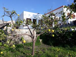 MARIA GUESTHOUSE KINI Syros Greece