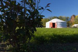 Tentes de luxe Domaine EcOtelia : photos des chambres