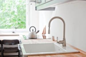 Magnificent turn of century flat (legal)