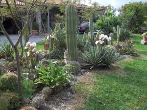 Il Vecchioliveto di Ornella img33