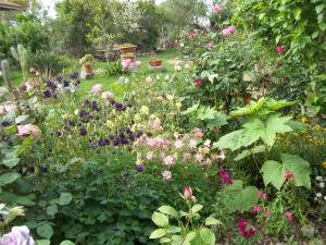 Il Vecchioliveto di Ornella img34