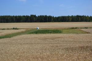 Värmlandsnäs Valdersrud Stenröse