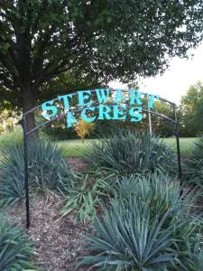 Stewart Acres - Mattese