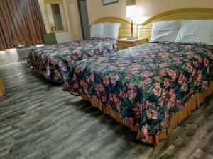 Family Suite room in Travelers Inn - Clearwater