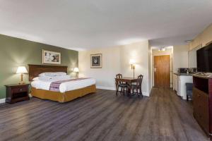 King Studio - Non-Smoking room in Days Inn & Suites by Wyndham Rocky Mount Golden East