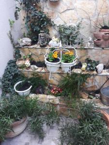 Studio Apartment Angie