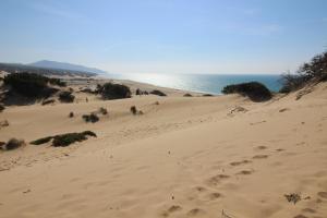 Appartamento Oleandro Piccolo Gutturu img49