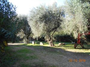 Lukia Barbati Mare Corfu Greece