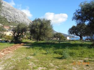 Lukia Barbati Mare Corfu Greece