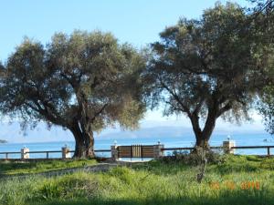 Lukia Barbati Mare Corfu Greece