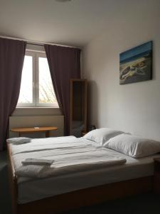 Double Room room in Hotel Arko