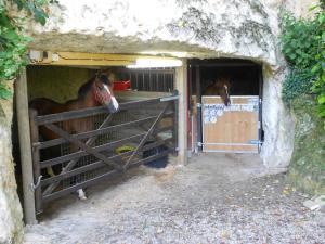 Maisons de vacances Gite Le Refuge : photos des chambres