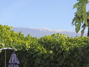 Maisons de vacances Characteristic country house with private pool and views of the Mont Ventoux : photos des chambres