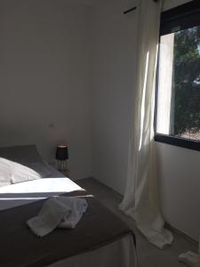 Maisons de vacances Villa Filippi : photos des chambres