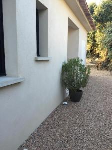 Maisons de vacances Villa Filippi : photos des chambres