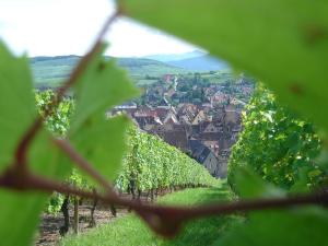 Appartements Vintage Apartment in Riquewihr with Terrace : photos des chambres