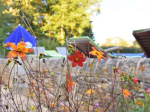 Maisons de vacances Beautiful holiday home with heated pool : photos des chambres