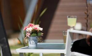 Pyramidal Park Valdivia