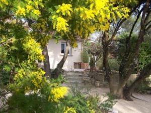 Appartements Les Florides : photos des chambres