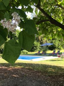 Maisons d'hotes LA MAISON D INES & Spa - : Suite - Vue sur Jardin