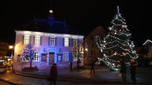 Appartements Villard-De-Lans - HyperCentre - Place de l'Ours (Liberation) - 4 personnes : photos des chambres