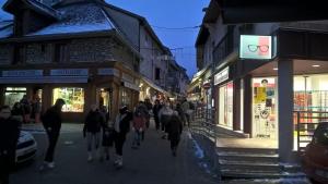 Appartements Villard-De-Lans - HyperCentre - Place de l'Ours (Liberation) - 4 personnes : photos des chambres