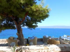 HydraVista (Coral) - 伊兹拉