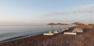 Eco Beach And Magic Garden Hotel Rhodes Greece