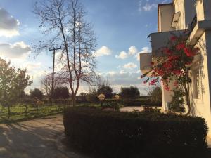 Swan House Panoramic View - Near the sea Kos Greece