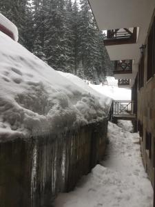 The Castle Complex - Apartment 401