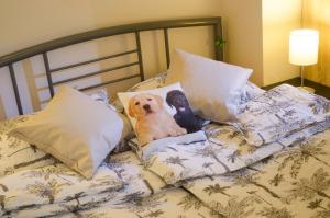 Rooms and Apartment Veral-KA