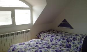 Apartment Sagittarius