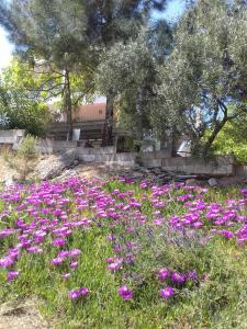 La Casa di Anastasia - Panorama Nea Karvali Kavala Greece