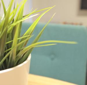 Apartamento Estella-Lizarra