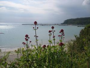 Appartements Cap Morgat chez Jean : photos des chambres