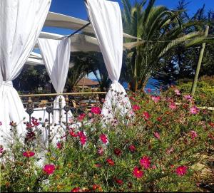 A Hotel Boutique Pelluhue