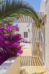 Dolphins Apartments Santorini Greece