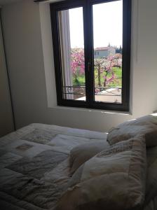 Maisons de vacances chez nico : photos des chambres