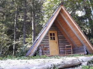 Camp ŠMICA