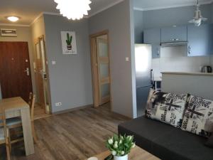 Appartement Apartament Edelmana Gorzów Wielkopolski Polen