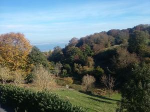 Les Hauts du Fort photo 15