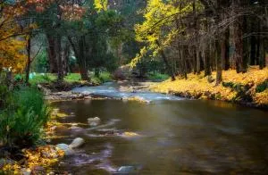 金丰假日酒店 - 波瑞庞卡