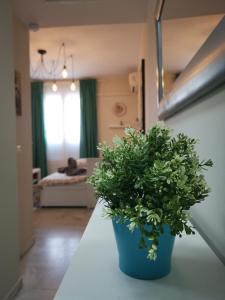 **** GENUAR APARTMENTS MALAGA CENTER