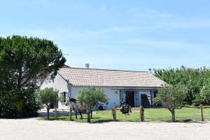 Appartements Mas Trinita Gite equestre en Camargue : photos des chambres