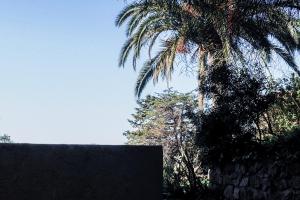 Creste E Mare photo 9