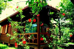 Bungalow (2 Adults) room in Baraka House