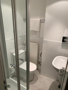 Single Room room in Hotel Well Garni