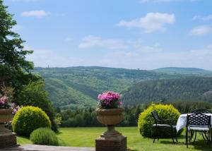 Gulworthy, Tavistock, Devon, England, PL19 8JD, United Kingdom.