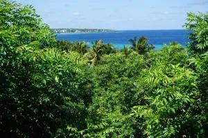 Mangga Lodge - Balangnipa