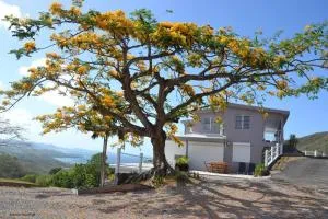 T3 - Le Colibri - Les Anses-d'Arlet